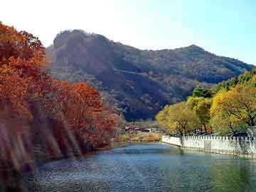 正版澳门天天开彩大全，茅山道士小说